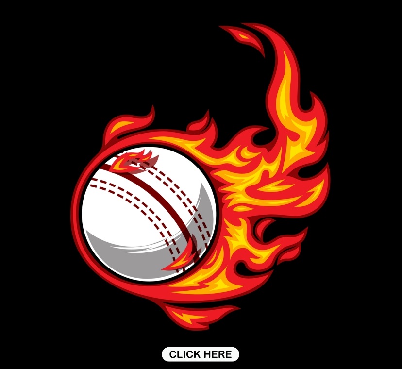 Flaming Cricket Ball
